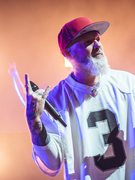 Náhledový obrázek k článku NAŽIVO: Nadupaný koncert. Vousatí Limp Bizkit se nezdržovali sentimentem