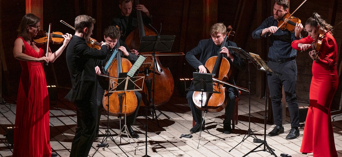 Obrázek k článku Noční Zoo rozezní Dvořák i Ravel. Začíná unikátní Troja fest