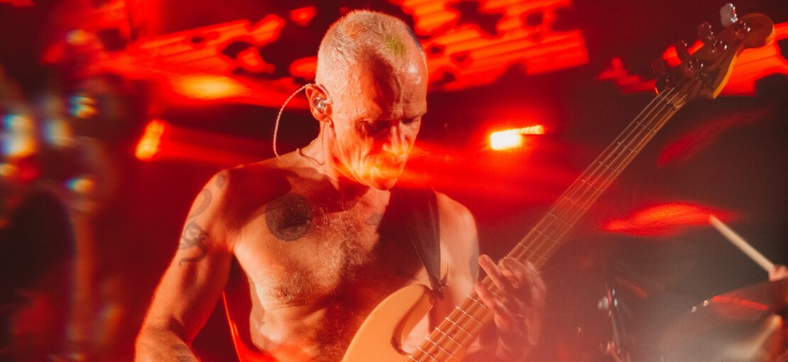 Obrázek k článku Red Hot Chili Peppers ve Star Wars. Flea si zaletěl do předaleké galaxie