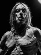 Náhledový obrázek k článku RECENZE: Iggy Pop už teď natočil jednu z nejlepších letošních rockových desek