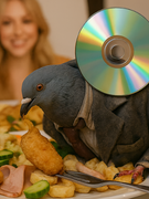 Náhledový obrázek k článku VLČKOVIZE: Definitivní konec bombastických křtů. Vyžrala je Holubova letka