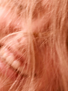 Náhledový obrázek k článku ZRECENZUJEME VŠECHNO: Viktorie má ráda Evanescence. Má šanci uspět